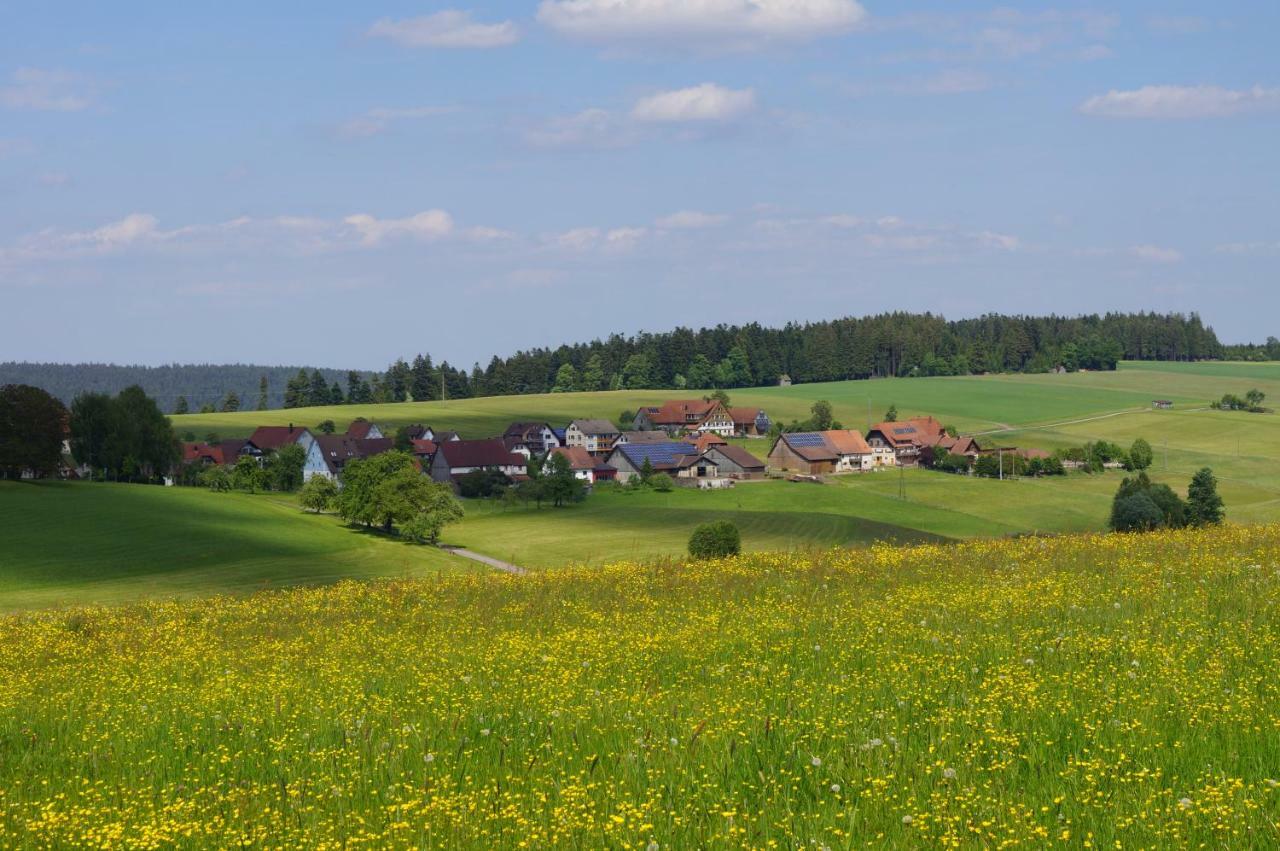 Black Forest Lodge Freudenstadt Esterno foto